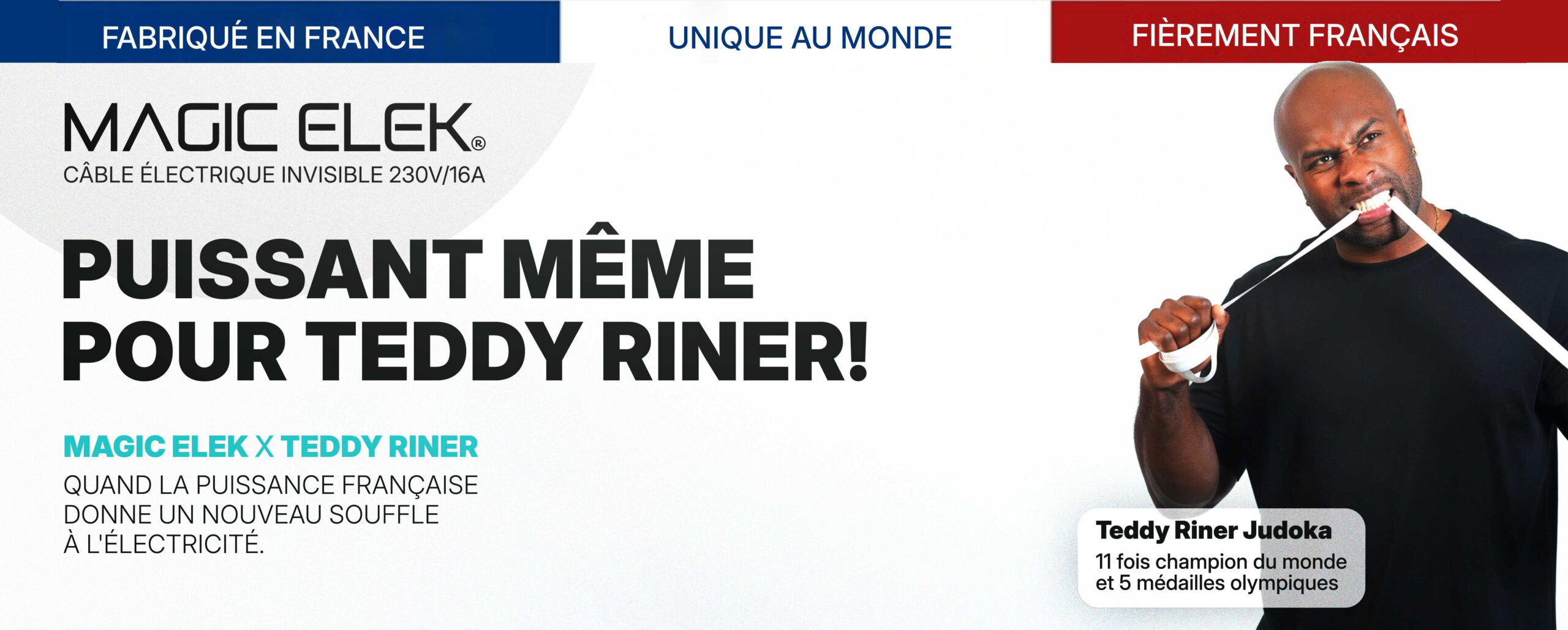 Webbanner Teddy Riner.jpg